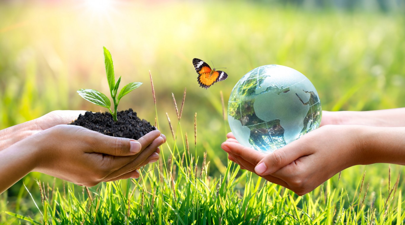 What Does Sustainable Development Mean To You Essay